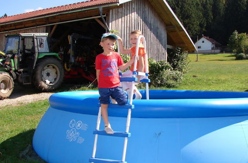 Photo 22 - Flat on a Farm Near the Arber ski Area