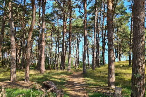 Photo 39 - Strandhaus Rügen