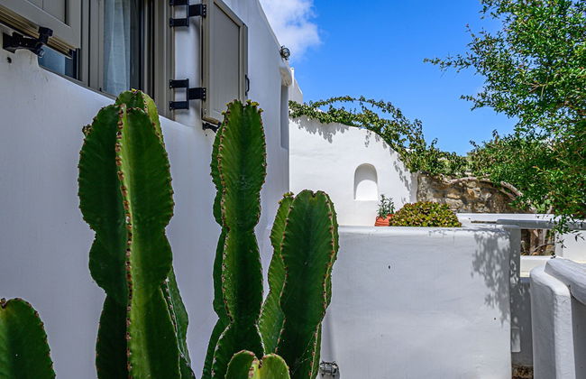9 Muses Villas Mykonos - Foto 72