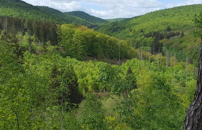 Hillside Retreat in Frankenau - Foto 38