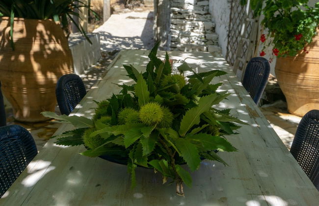 Cottage Home at South Chania near Paliochora - Foto 14