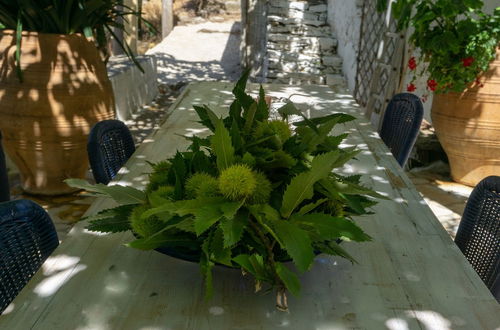 Photo 14 - Cottage Home at South Chania near Paliochora