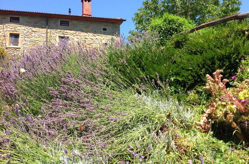 Foto 41 - Agriturismo il Castelluccio