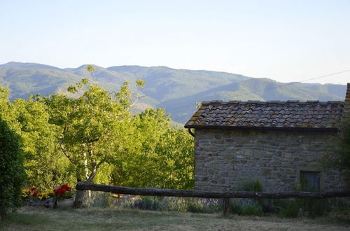 Foto 42 - Agriturismo il Castelluccio