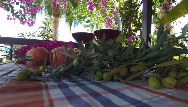 Rezeption