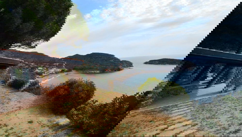 Image principale