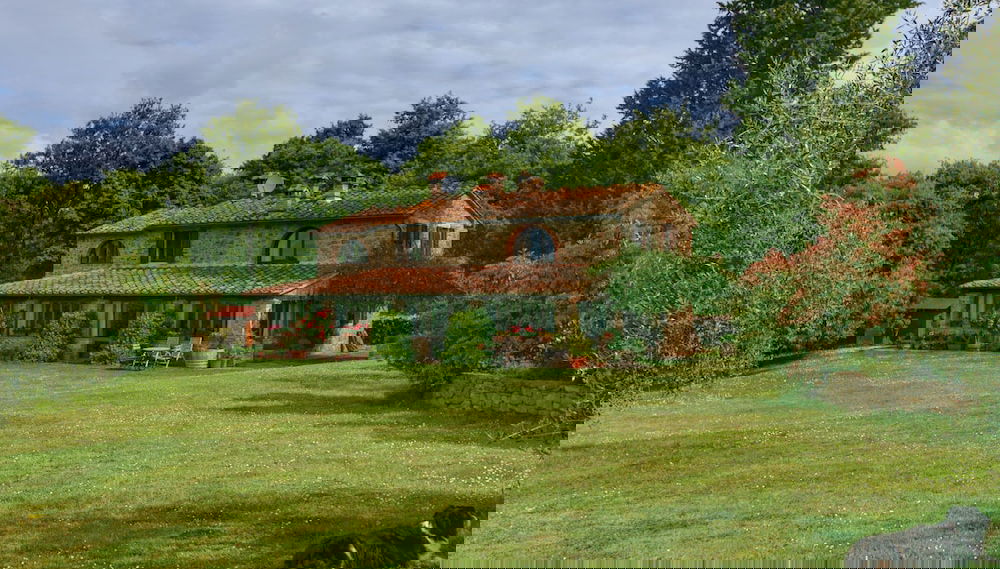 Primary image