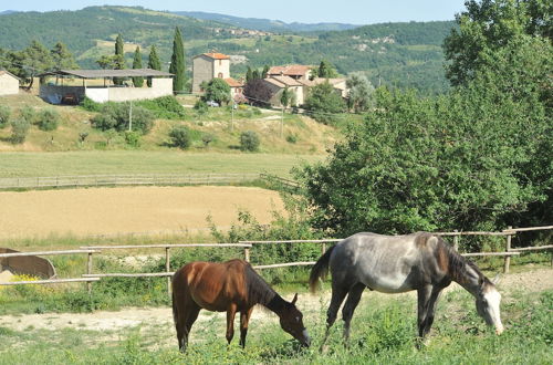 Photo 41 - Country House Santa Felicita la Paterna