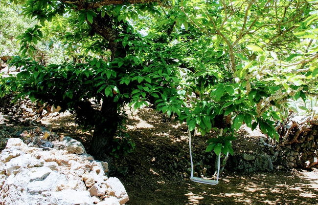 La Casa del Abuelito Julián en El Hierro - Foto 27