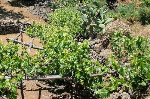 Photo 22 - La Casa del Abuelito Julián en El Hierro