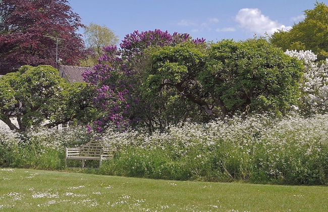 Bookers Cottage - Foto 25