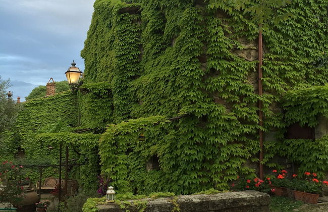 Pieve di Caminino Historic Farm - Foto 29