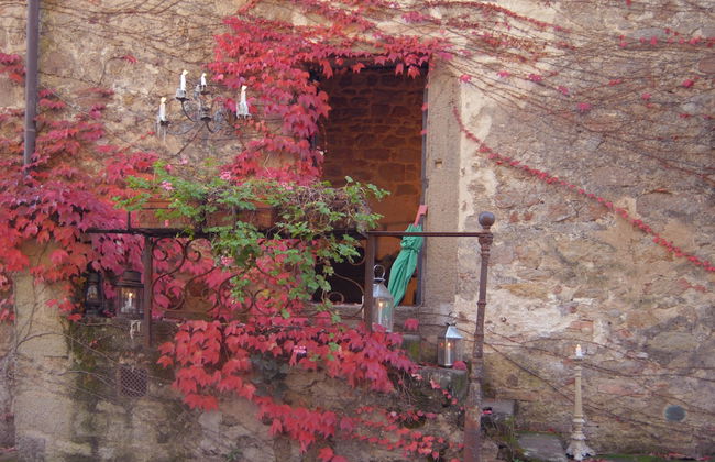 Pieve di Caminino Historic Farm - Foto 30