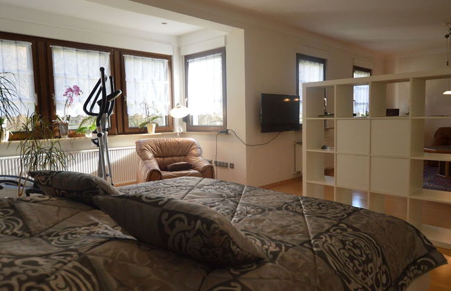 Apartment in Trittenheim With Terrace and Garden - Foto 4