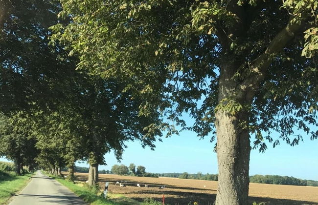 Geraeumige Ferienwohnung in Boddin mit Garten - Photo 21