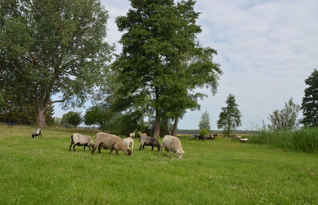 Kulturhof - Foto 25