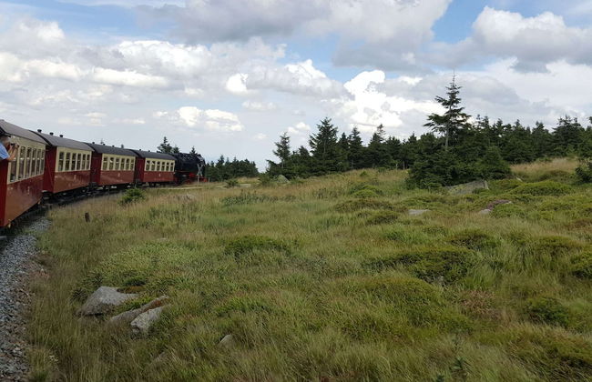 Gruppen- Ferienhaus in Wieda - Foto 37