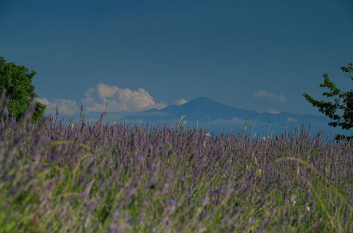 Foto 46 - apartmani lavanda