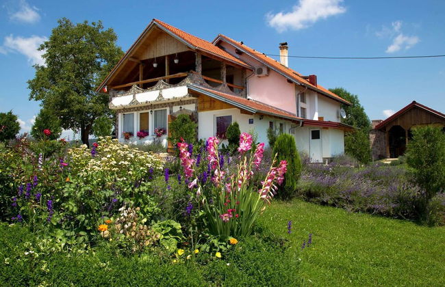 apartmani lavanda - Foto 30