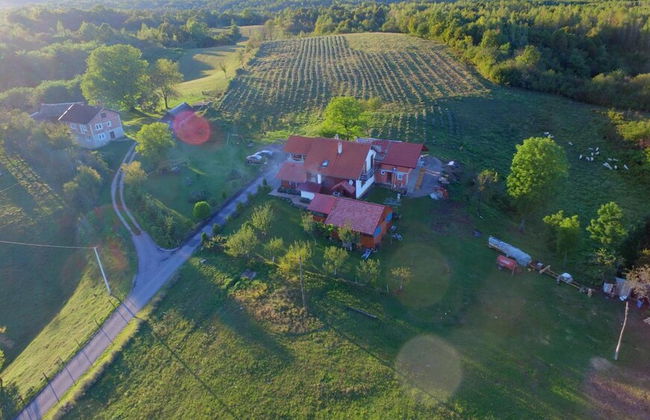 apartmani lavanda - Foto 44