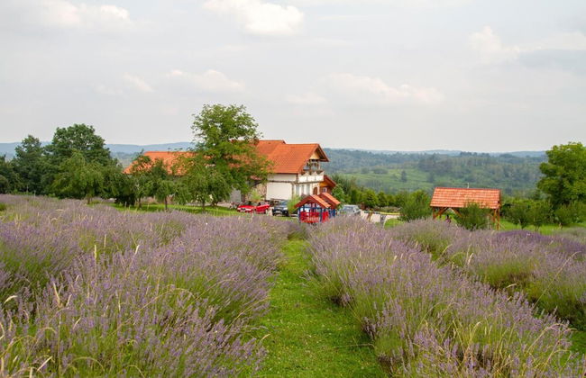 apartmani lavanda - Foto 40