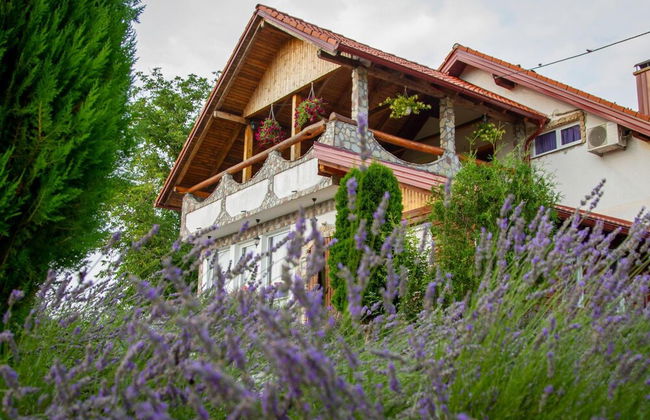 apartmani lavanda - Foto 52
