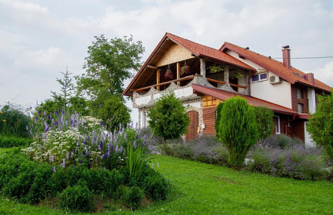 apartmani lavanda - Foto 51