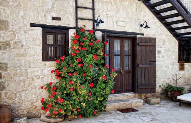 Leonidas Village Houses - Foto 29