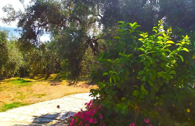 Villa Leonidas GreeceFiloxenia - Foto 57