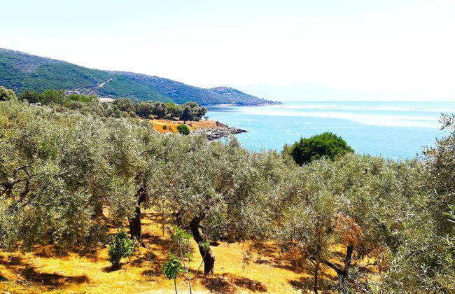 Villa Leonidas GreeceFiloxenia - Foto 46