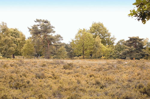 Photo 29 - Holiday Home in the Veluwe in Nature