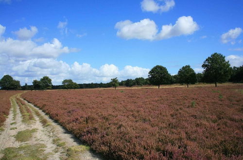 Photo 27 - Holiday Home in the Veluwe in Nature