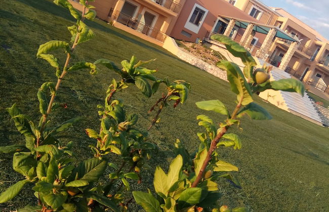 Finiki Plaza - Foto 44