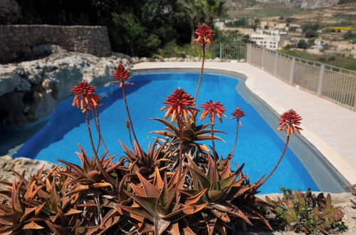 Foto 22 - Villeleynah Amazing Gozitan Villa + Pool