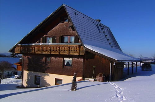 Photo 21 - Apartment in Neukirch With Terrace