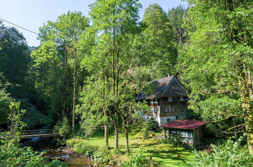 Photo 16 - Apartment in Neukirch With Terrace