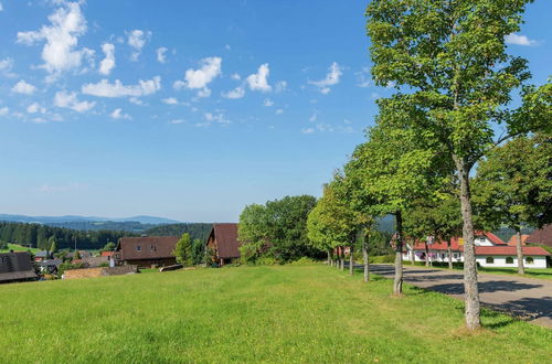 Photo 28 - Apartment in Neukirch With Terrace