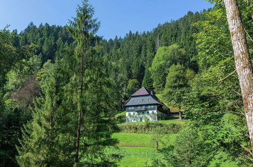 Photo 27 - Apartment in Neukirch With Terrace