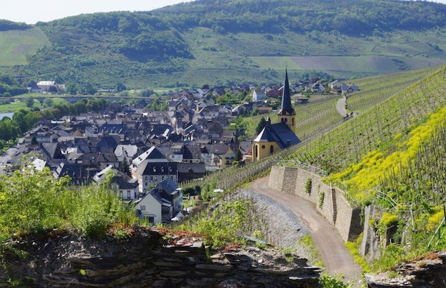 Weinvilla Heinrichshof - Photo 23