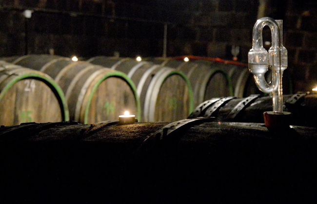 Weinvilla Heinrichshof - Photo 28