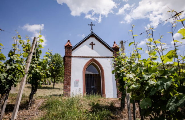 Weinvilla Heinrichshof - Photo 25