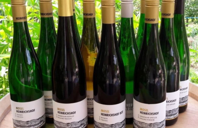 Weinvilla Heinrichshof - Photo 26