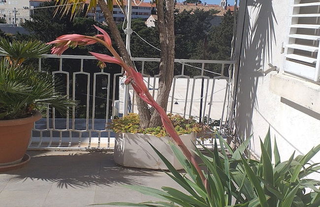Plavi Zal - Foto 13