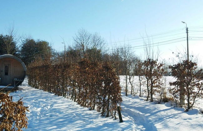 Limbourg Nature Retreat - Foto 21