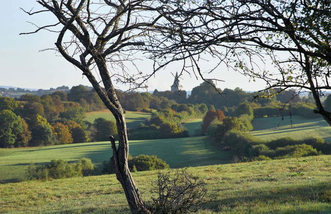 Limbourg Nature Retreat - Foto 26