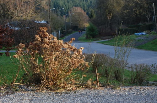 Foto 64 - Gîte Les Trois Voisins