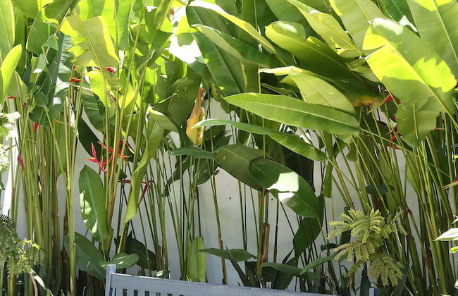 Vila Perainda - Foto 33