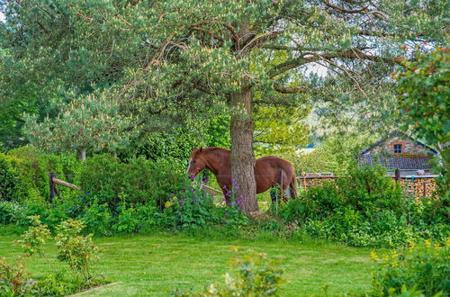 Photo 28 - Captivating Cottage in Vielsalm near Forest