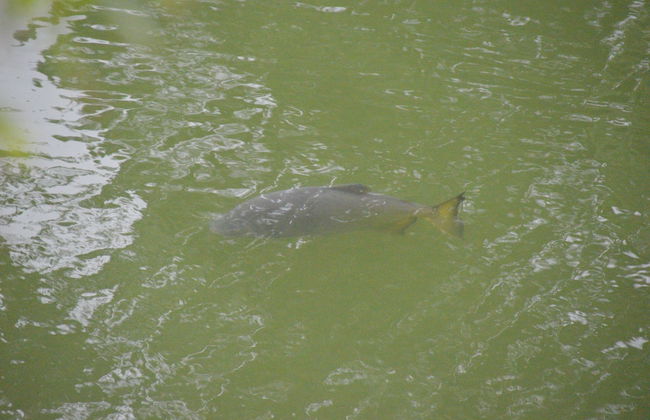 Hotel Lago das Pedras - Foto 39