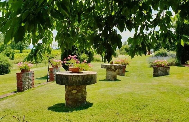 Agriturismo Il Sole Verde - Foto 60